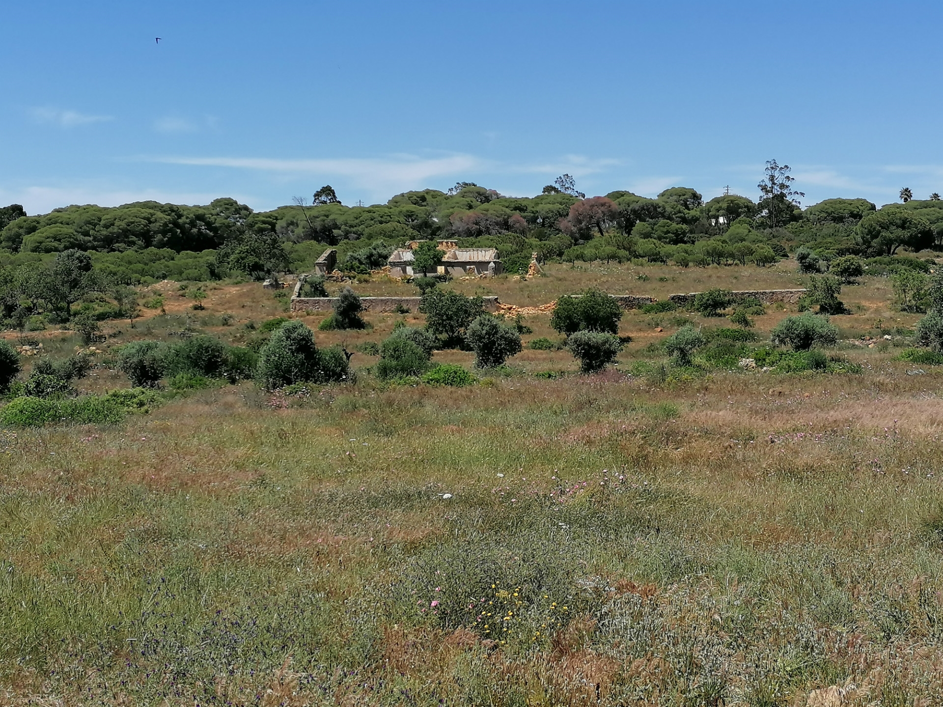 Quinta  Para Venda em Lagoa (Algarve)